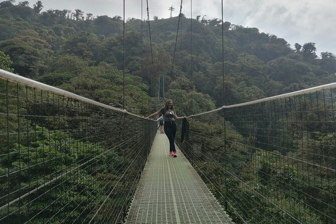 full-day-to-monteverde-from-san-jose-with-canopy-and-reptil-amphibians-watching