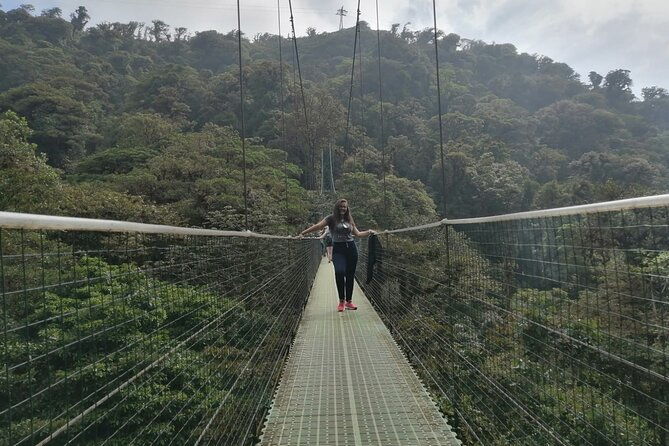 full-day-to-monteverde-from-san-jose-with-canopy-and-reptil-amphibians-watching