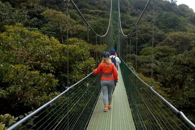 full-day-to-monteverde-from-san-jose-with-canopy-and-reptil-amphibians-watching