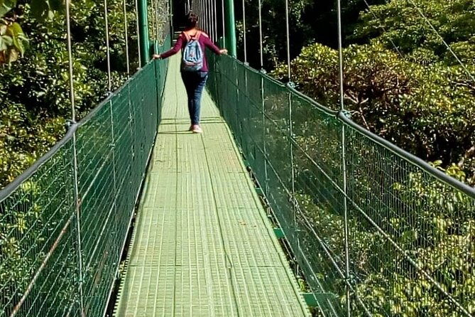 full-day-to-monteverde-from-san-jose-with-canopy-and-reptil-amphibians-watching