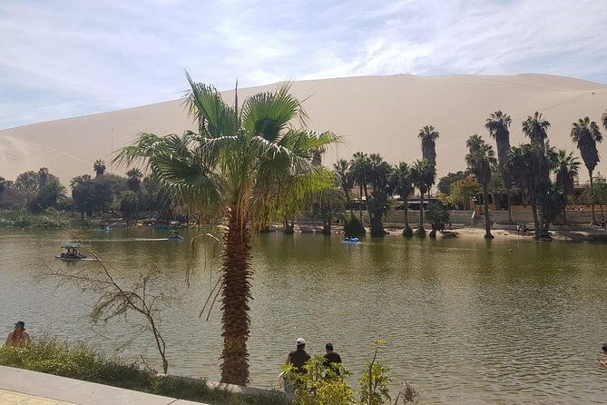 full-day-to-paracas-huacachina-from-lima-with-ballestas-island-sand-boarding