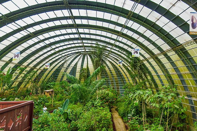 full-day-to-selvatura-monteverde-cloud-forest-from-guanacaste