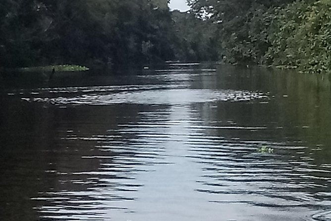 full-day-tour-amazon-river-2020