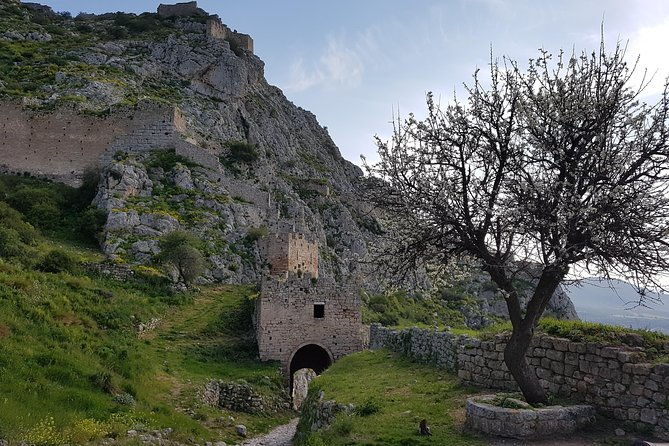 full-day-tour-ancient-corinth-with-wine-or-olive-oil-tasting