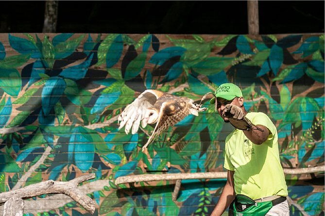 full-day-tour-aviary-with-beach-in-baru-with-lunch