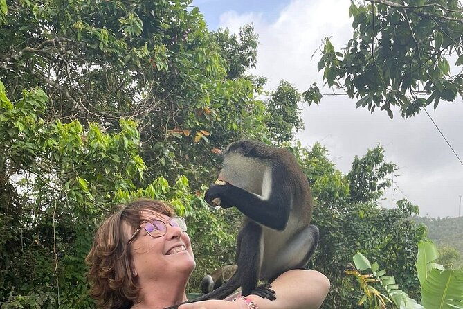 full-day-tour-belmont-estate-rum-distillery-grand-etang