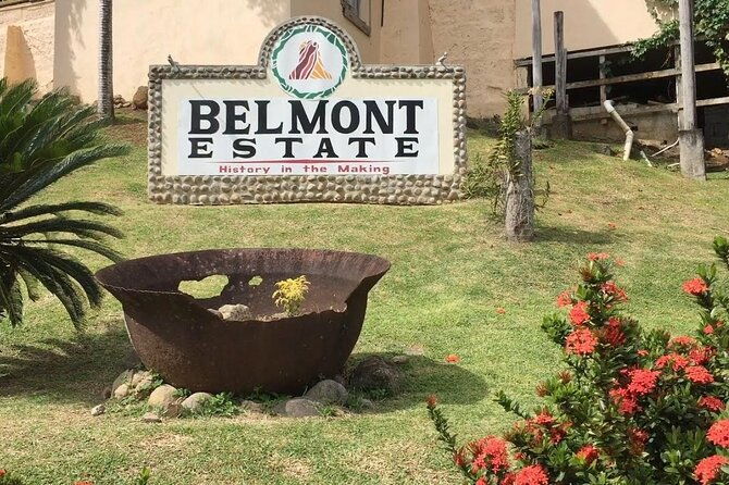 full-day-tour-belmont-estate-rum-distillery-grand-etang
