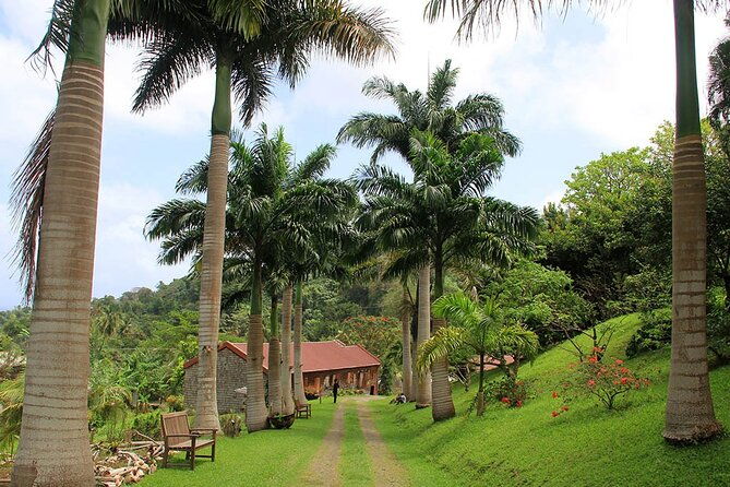 full-day-tour-belmont-estate-rum-distillery-grand-etang