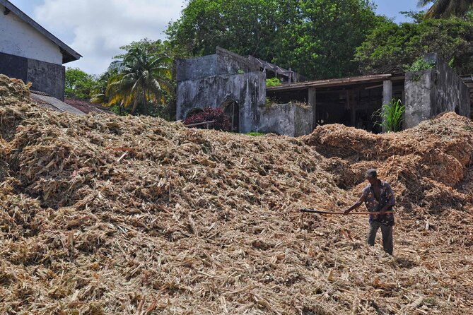 full-day-tour-belmont-estate-rum-distillery-grand-etang