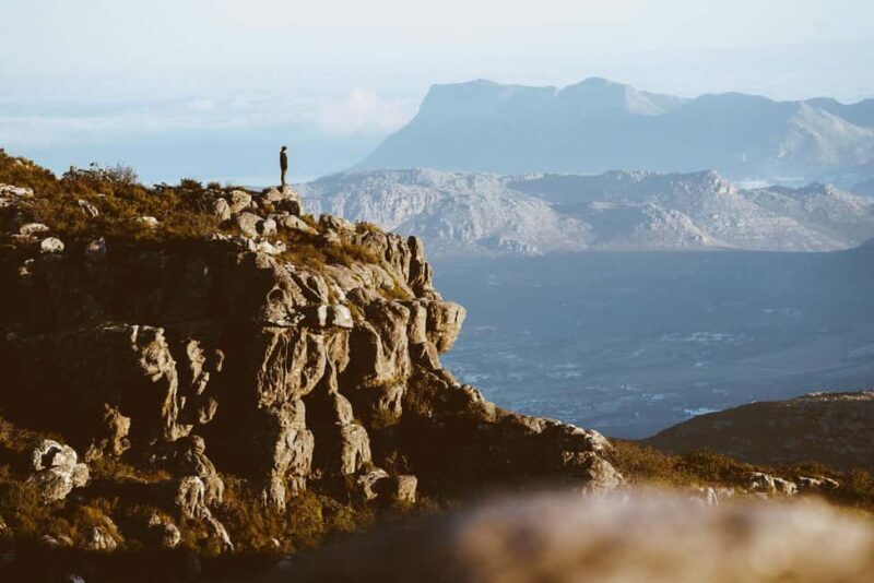 Full Day Tour: Cape Point, Penguin Colony & Robben Island - Who Is This Tour Perfect For?