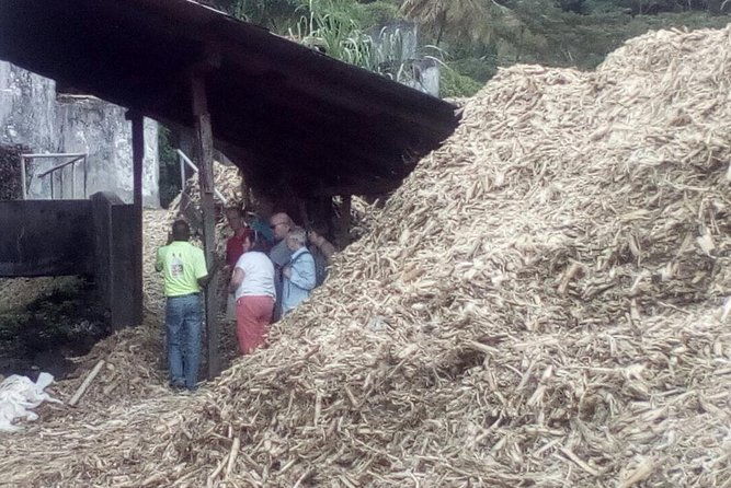 full-day-tour-concord-waterfall-chocolate-factory-rum-distillery-grand-etang