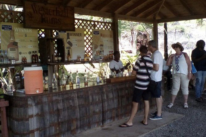 full-day-tour-concord-waterfall-chocolate-factory-rum-distillery-grand-etang