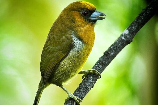 full-day-tour-corcovado-national-park
