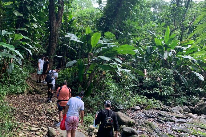 full-day-tour-el-yunque-luquillo-beach-bio-bay-night-kayaking