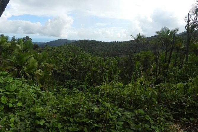 full-day-tour-el-yunque-luquillo-beach-bio-bay-night-kayaking