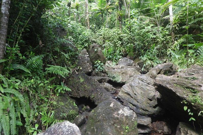 full-day-tour-el-yunque-luquillo-beach-bio-bay-night-kayaking