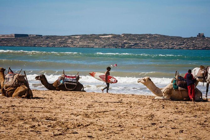 Full day Tour Essaouira Day Tour from Marrakech - Key Points