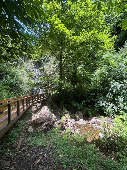 Full Day Tour from Batumi to Waterfalls - Introduction