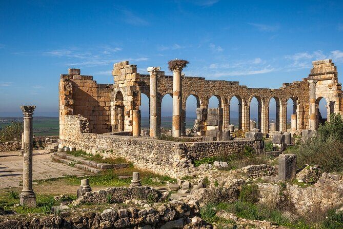 Full-Day Tour from Fez to Vollubulis, Moulay Idriss Zerhoun, Mèknes - Transportation and Logistics: Comfort and Convenience