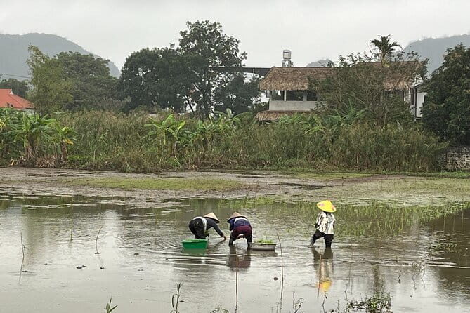 Full Day Tour from Hanoi to Tam Coc - Final Thoughts