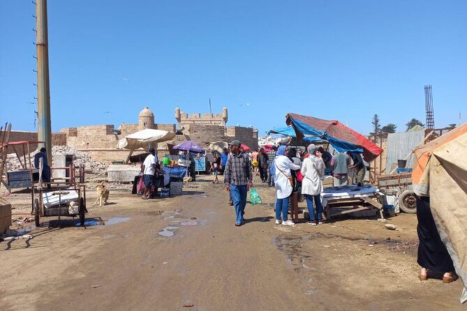 Full Day Tour From Marrakech to Essaouira - What to Expect from the Full-Day Marrakech to Essaouira Tour  