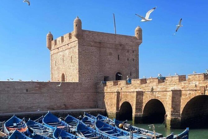 Full Day Tour From Marrakech To Essaouira Mogador - Key Points