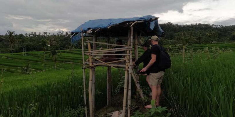 full-day-tour-from-mataram-or-senggi-to-senaru-waterfalls