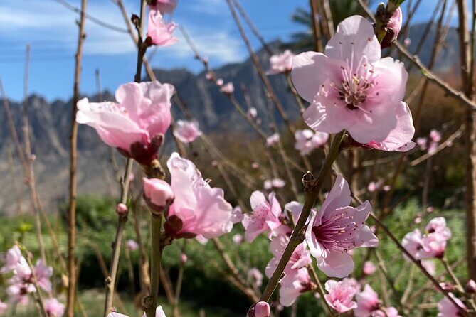 Full Day Tour from Wakan to Jebel Akhdar Trekking - Authentic Traveler Insights