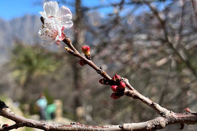 Full Day Tour from Wakan to Jebel Akhdar Trekking - The Sum Up