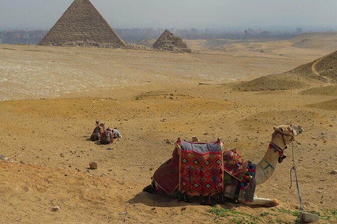 Full day tour Giza pyramid Memphis&Saqqaraa - Final Thoughts