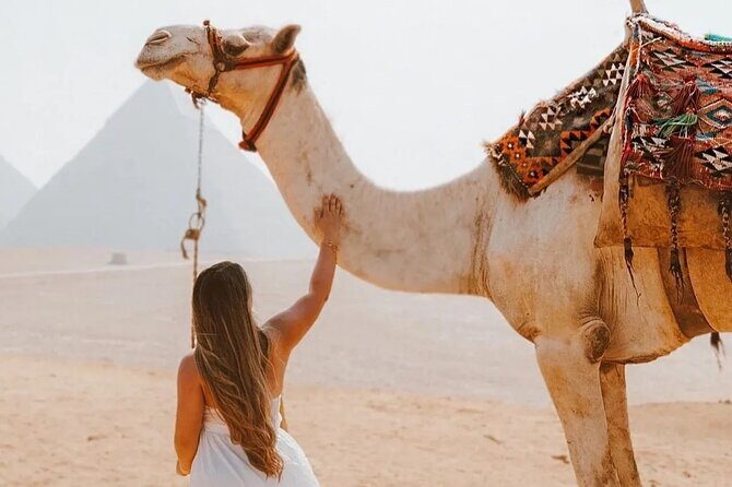 Full Day Tour Giza Pyramids, Sphinx and Egyptian Museum &Felucca - A Closer Look at the Itinerary and Highlights