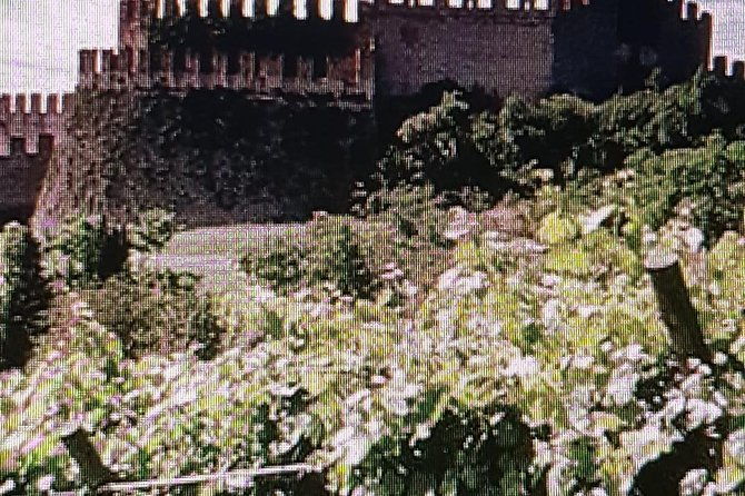 full-day-tour-i-love-amarone-valpolicella-verona