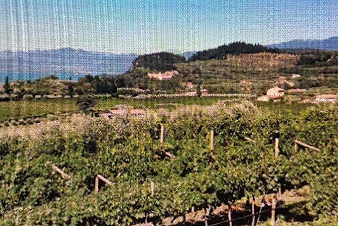 full-day-tour-i-love-amarone-valpolicella-verona