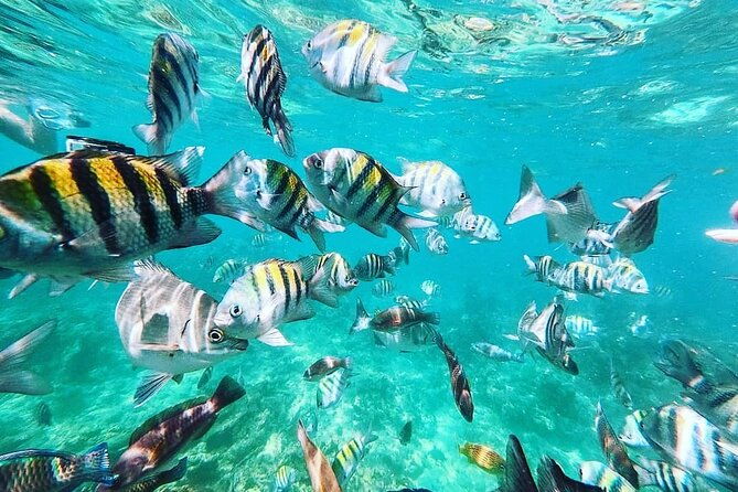 full-day-tour-in-5-islands-of-cartagena-with-snorkel-included
