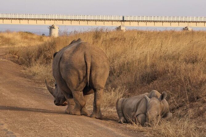Full Day Tour in Amboseli National Park from Nairobi - Final Thoughts