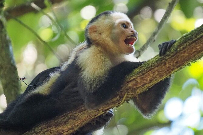 full-day-tour-in-corcovado-national-park