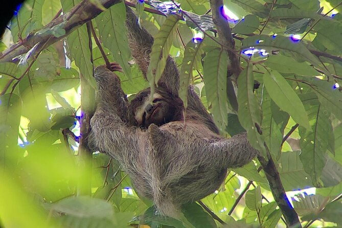 full-day-tour-in-corcovado-national-park
