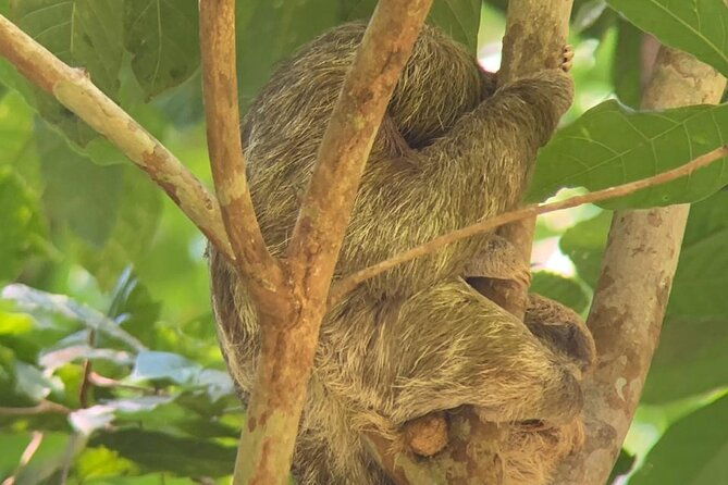 full-day-tour-in-corcovado-national-park