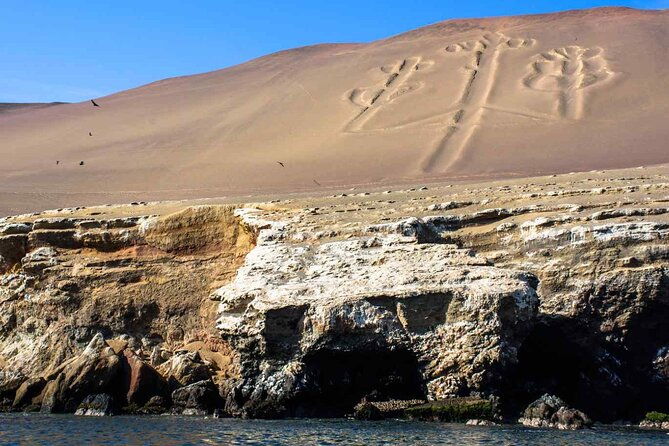 full-day-tour-in-ica-paracas-and-huacachina-from-lima