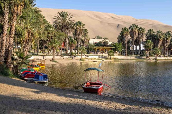 full-day-tour-in-ica-paracas-and-huacachina-from-lima
