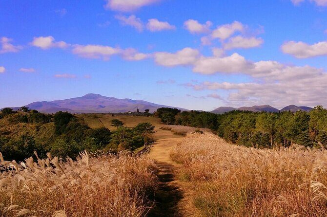 Full Day Tour In Jeju Island - East of Jeju (included admission) - Exploring the East of Jeju: A Closer Look at the Itinerary