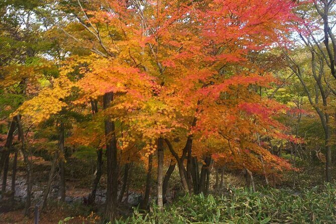 Full Day Tour In Jeju Island - East of Jeju (included admission) - Final Thoughts