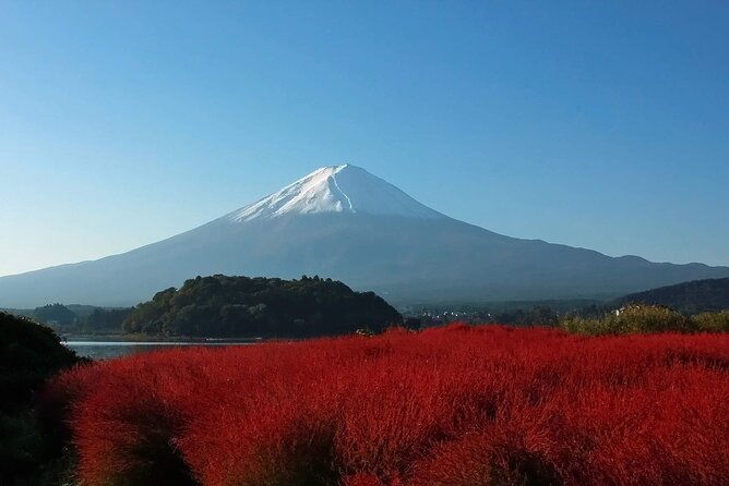 full-day-tour-in-mount-fuji-and-oishi-park-with-fruit-picking
