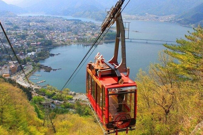 full-day-tour-in-mount-fuji-and-oishi-park-with-fruit-picking