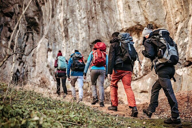 Full Day Tour in Mt. Fuji and Hakone with English Speaking Driver - Key Points