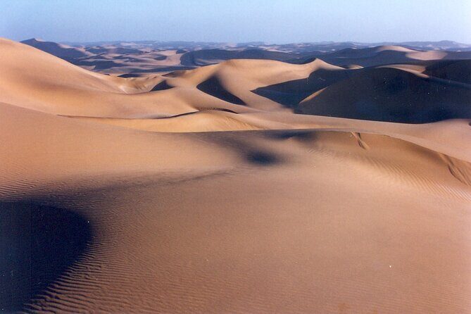 Full-Day Tour in Namib Desert from Swakopmund, Namibia - Final Thoughts: Is It Worth It?  
