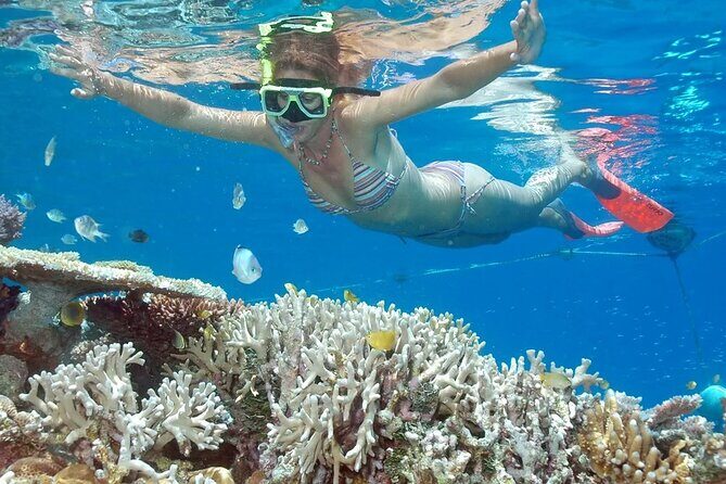 Full-Day Tour in Nusa Penida Island + Snorkeling Experience - Exploring the Full-Day Tour in Nusa Penida Island + Snorkeling Experience