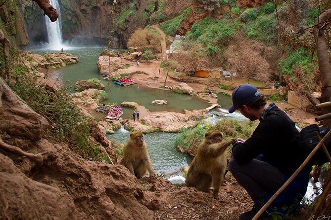 Full-Day Tour in Ouzoud Waterfalls from Marrakech with Pick Up - Is This Tour Worth It?