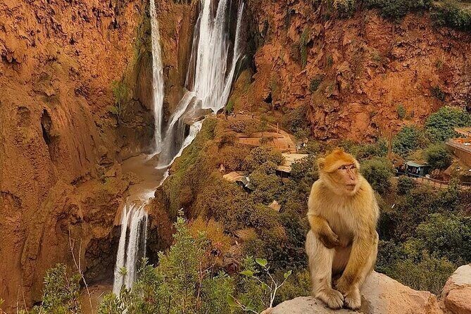 Full-Day Tour in Ouzoud Waterfalls from Marrakech with Pick Up - FAQ