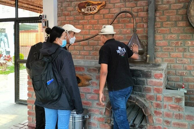 full-day-tour-in-paracas-ica-and-oasis-huacachina